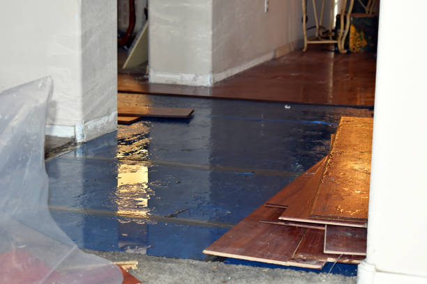 Professional Sewage Cleanup technician working in New London, NH
